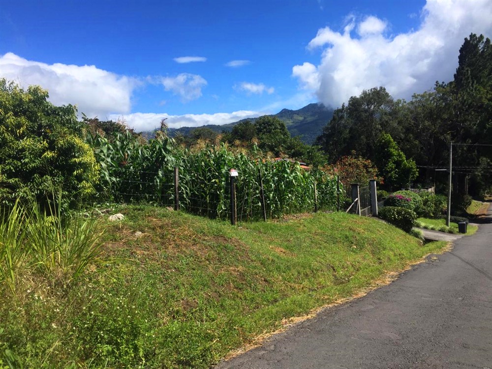Lot for Sale in a Very Pretty Area of Volcancito, Boquete, Panama photo 7