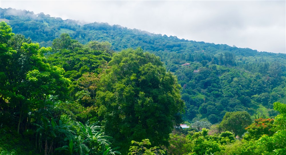 Outstanding Three Bedroom Penthouse Condominium for Sale in Valle del Rio, Downtown Boquete – River & Mountain Views photo 12