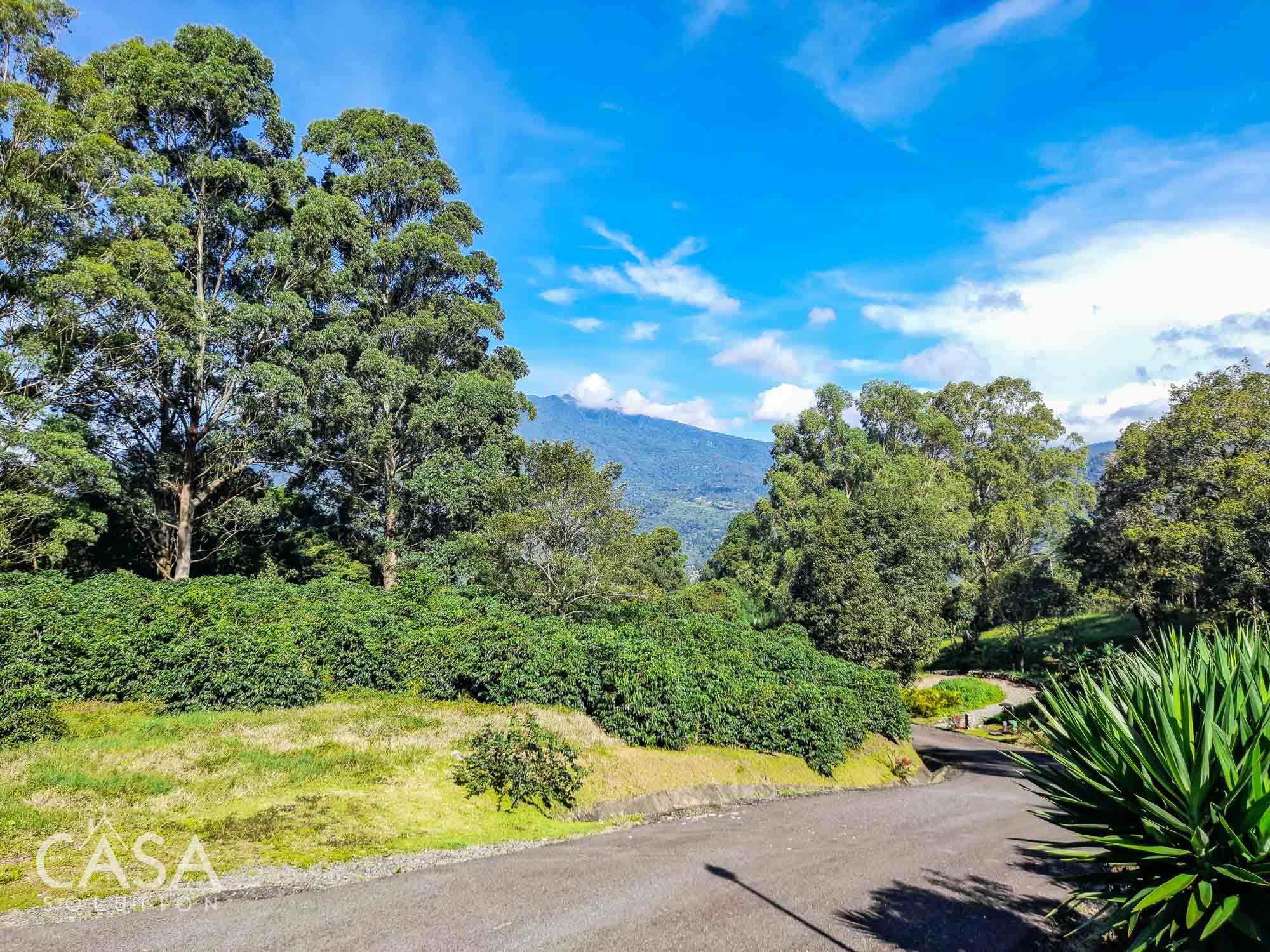 Premium Home Building Lot in Las Terrazas – Boquete Gated Community photo 10