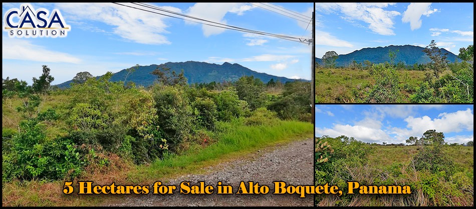 Price Reduction! 5 Hectares for Sale in Alto Boquete, Panama - 5 Hectáreas a la Venta en Alto Boquete, Panamá