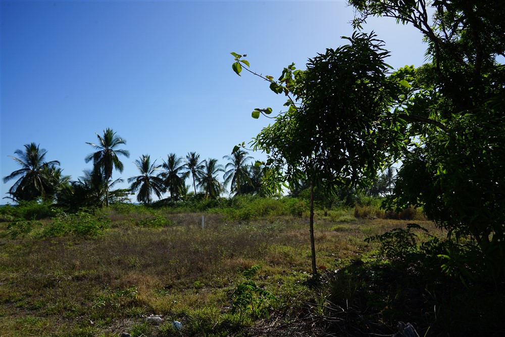 Prime Location! Beach Property in Las Lajas photo 12