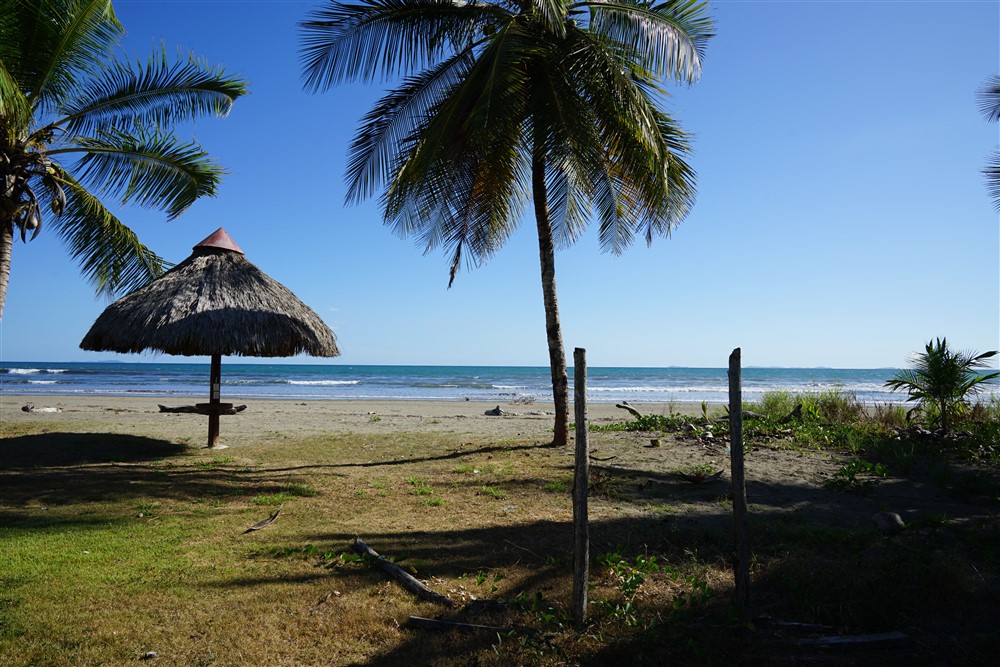 Prime Location! Beach Property in Las Lajas photo 5