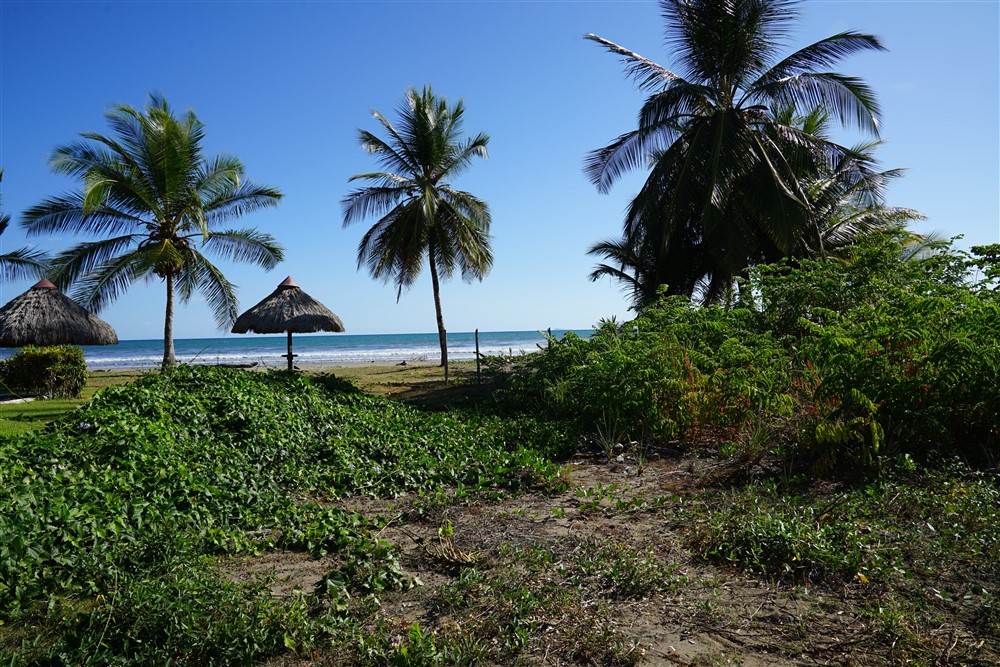 Prime Location! Beach Property in Las Lajas photo 6