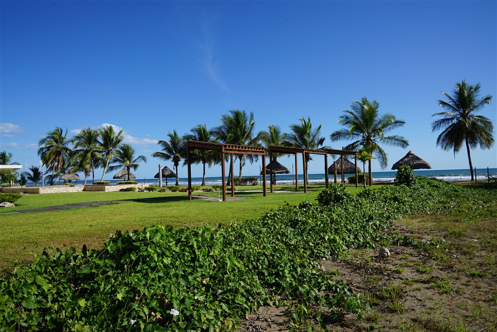 Prime Location! Beach Property in Las Lajas photo 7