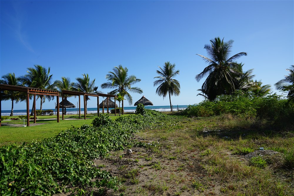 Prime Location! Beach Property in Las Lajas photo 8