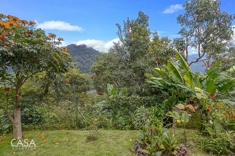 Beautiful House with Incredible View on 3.5 Acres of Productive Coffee Farm in El Salto, Boquete, Panama - Hermosa Casa con Vista Increíble en 3.5 acres y una Finca de Cafe en El Salto, Boquete, Panamá photo 4