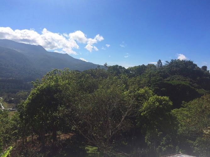 Beautiful House with Incredible View on 3.5 Acres of Productive Coffee Farm in El Salto, Boquete, Panama - Hermosa Casa con Vista Increíble en 3.5 acres y una Finca de Cafe en El Salto, Boquete, Panamá photo 7