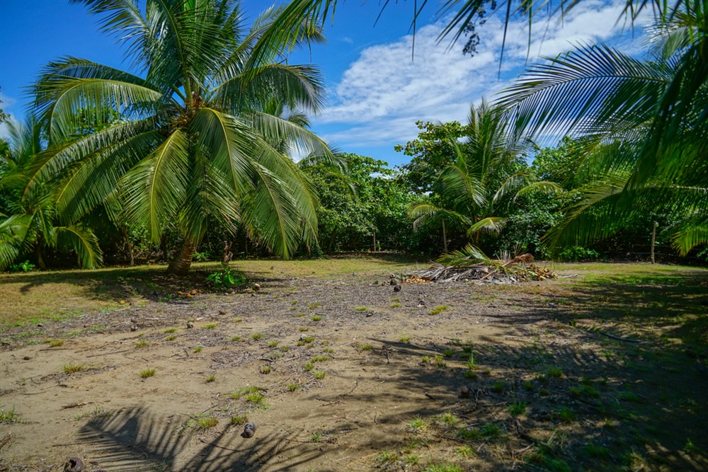 Withdrawn - Beautiful Lot for Sale Near the Beach in Las Lajas, Chiriqui photo 6