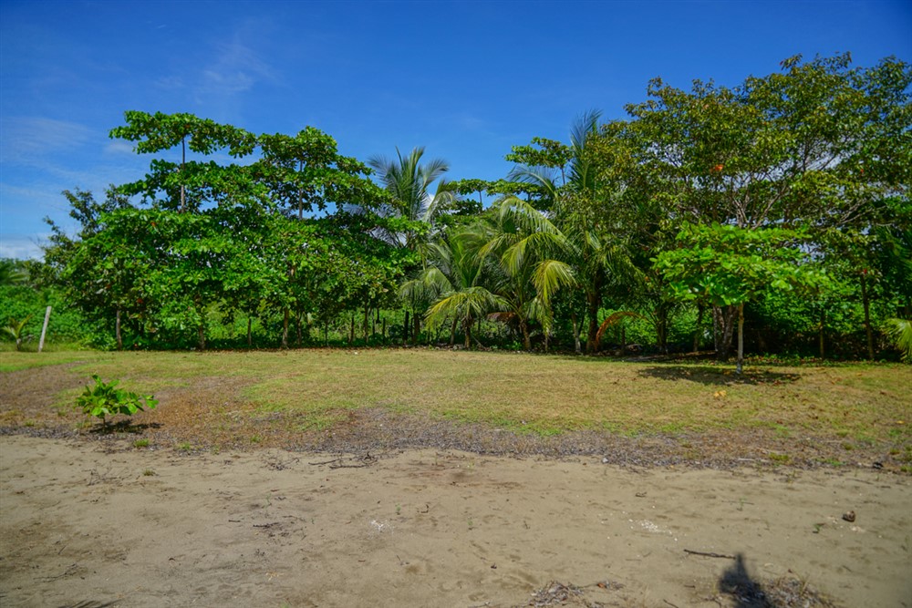 Withdrawn - Beautiful Lot for Sale Near the Beach in Las Lajas, Chiriqui photo 7
