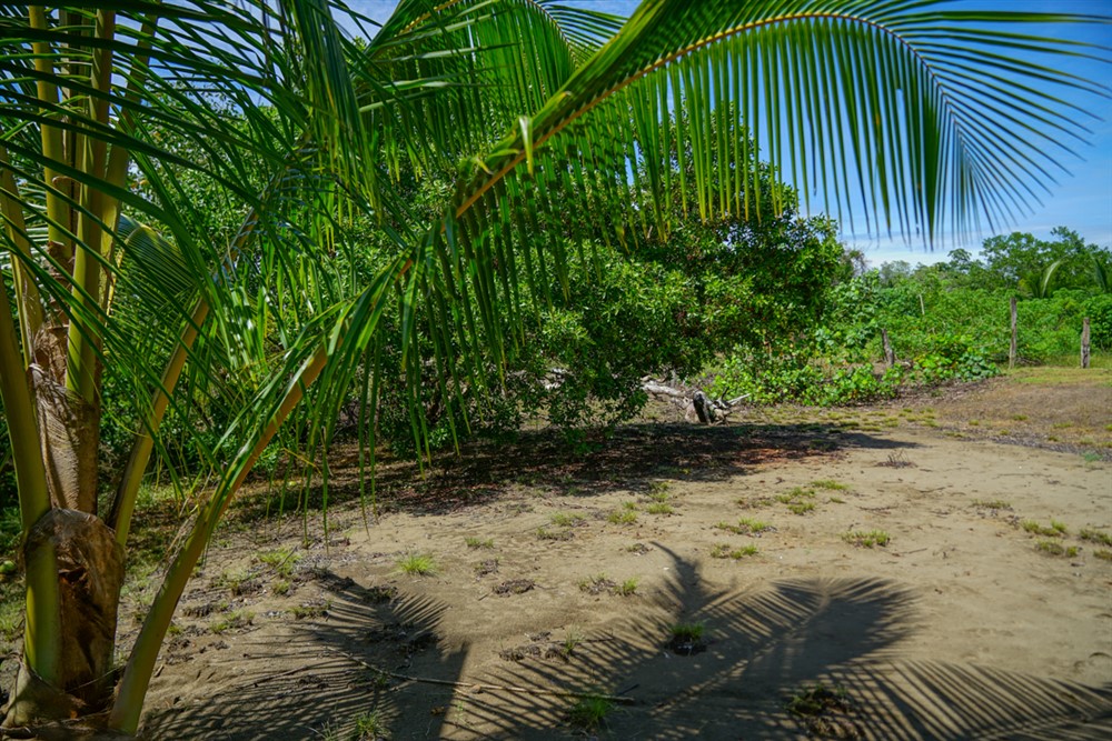 Withdrawn - Beautiful Lot for Sale Near the Beach in Las Lajas, Chiriqui