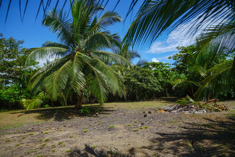 Withdrawn - Beautiful Lot for Sale Near the Beach in Las Lajas, Chiriqui photo 4