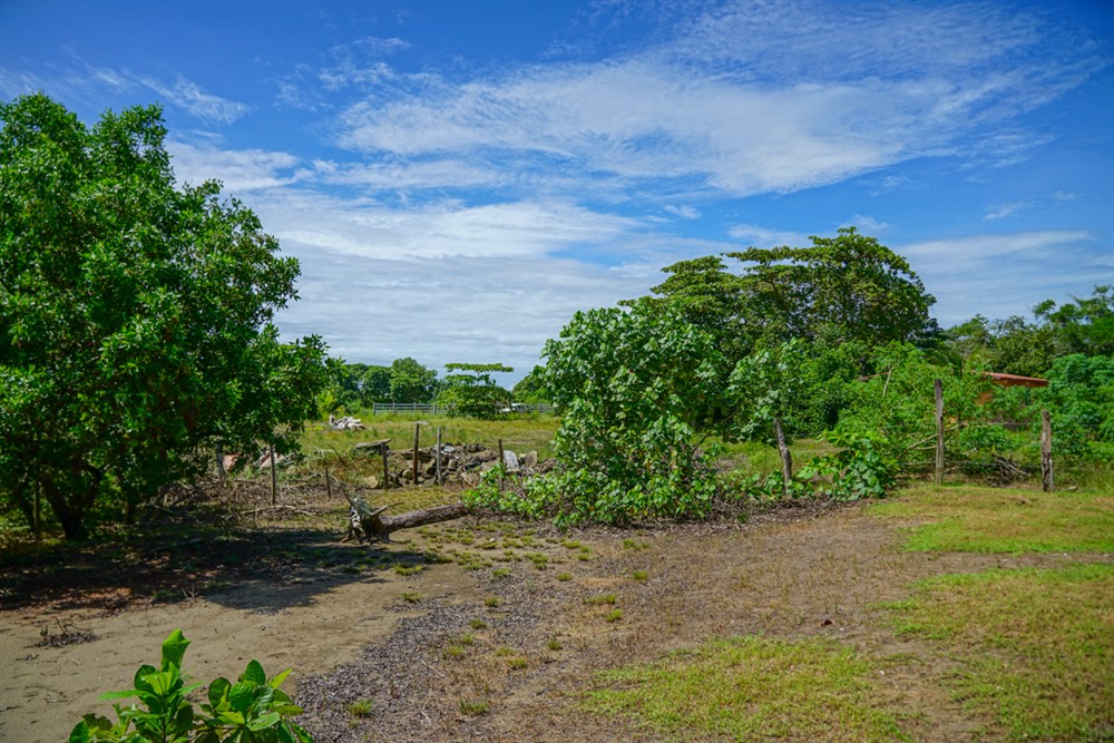 Withdrawn - Beautiful Lot for Sale Near the Beach in Las Lajas, Chiriqui photo 5
