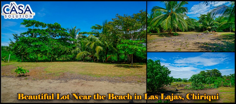 Withdrawn - Beautiful Lot for Sale Near the Beach in Las Lajas, Chiriqui photo 8