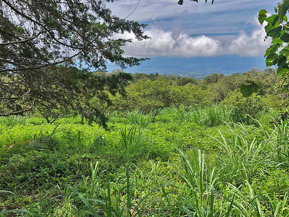 Beautiful Mountain View Property High in the Jaramillo Area of the Talamanca Mountain Range Less Than 15 Minutes from Downtown Boquete - Hermosa Propiedad con Vista a la montaña en lo Alto de la zona de Jaramillo de la Cordillera de Talamanca, a menos de 15 minutos del centro de Boquete