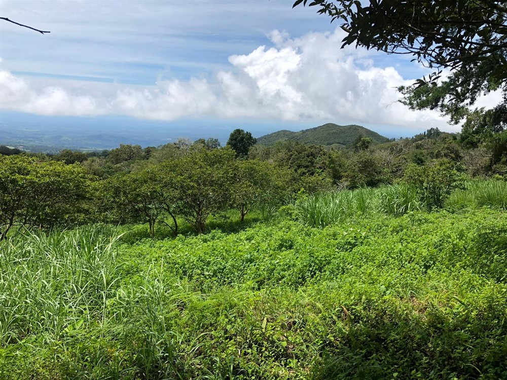 Beautiful Mountain View Property High in the Jaramillo Area of the Talamanca Mountain Range Less Than 15 Minutes from Downtown Boquete - Hermosa Propiedad con Vista a la montaña en lo Alto de la zona de Jaramillo de la Cordillera de Talamanca, a menos de 15 minutos del centro de Boquete photo 10