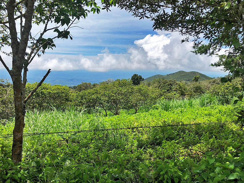 Beautiful Mountain View Property High in the Jaramillo Area of the Talamanca Mountain Range Less Than 15 Minutes from Downtown Boquete - Hermosa Propiedad con Vista a la montaña en lo Alto de la zona de Jaramillo de la Cordillera de Talamanca, a menos de 15 minutos del centro de Boquete photo 12