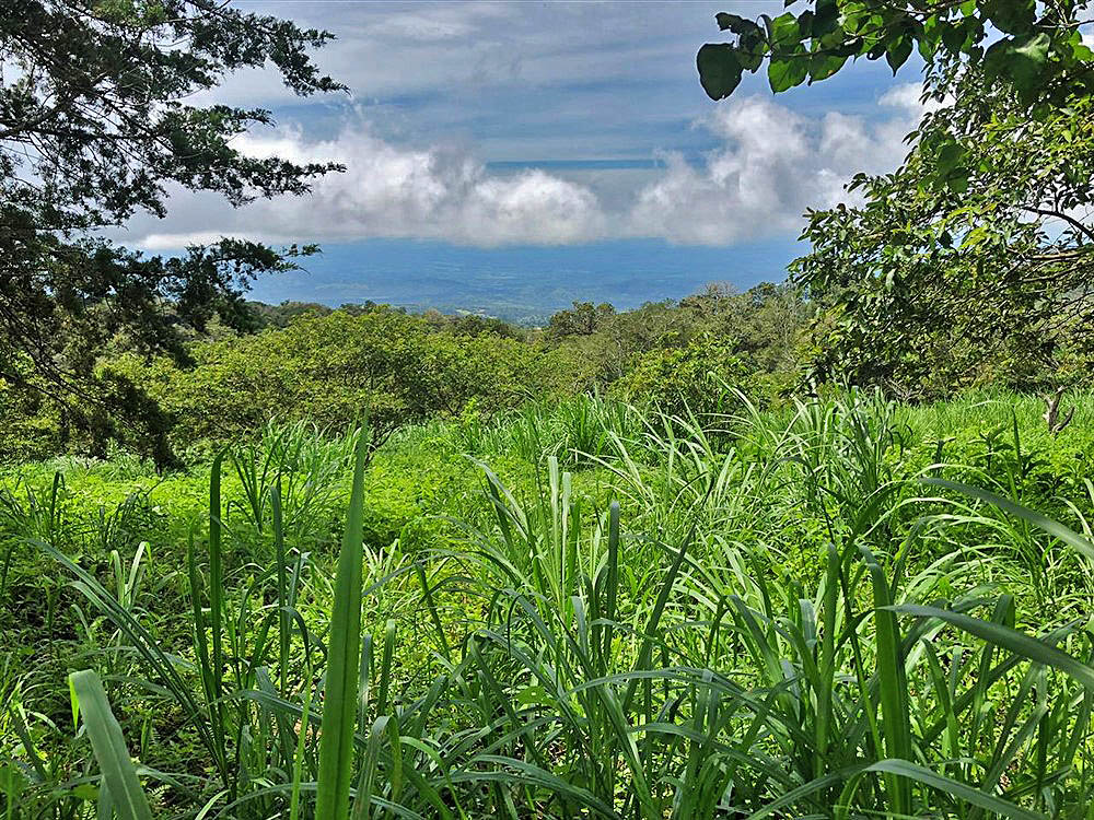 Beautiful Mountain View Property High in the Jaramillo Area of the Talamanca Mountain Range Less Than 15 Minutes from Downtown Boquete - Hermosa Propiedad con Vista a la montaña en lo Alto de la zona de Jaramillo de la Cordillera de Talamanca, a menos de 15 minutos del centro de Boquete photo 2