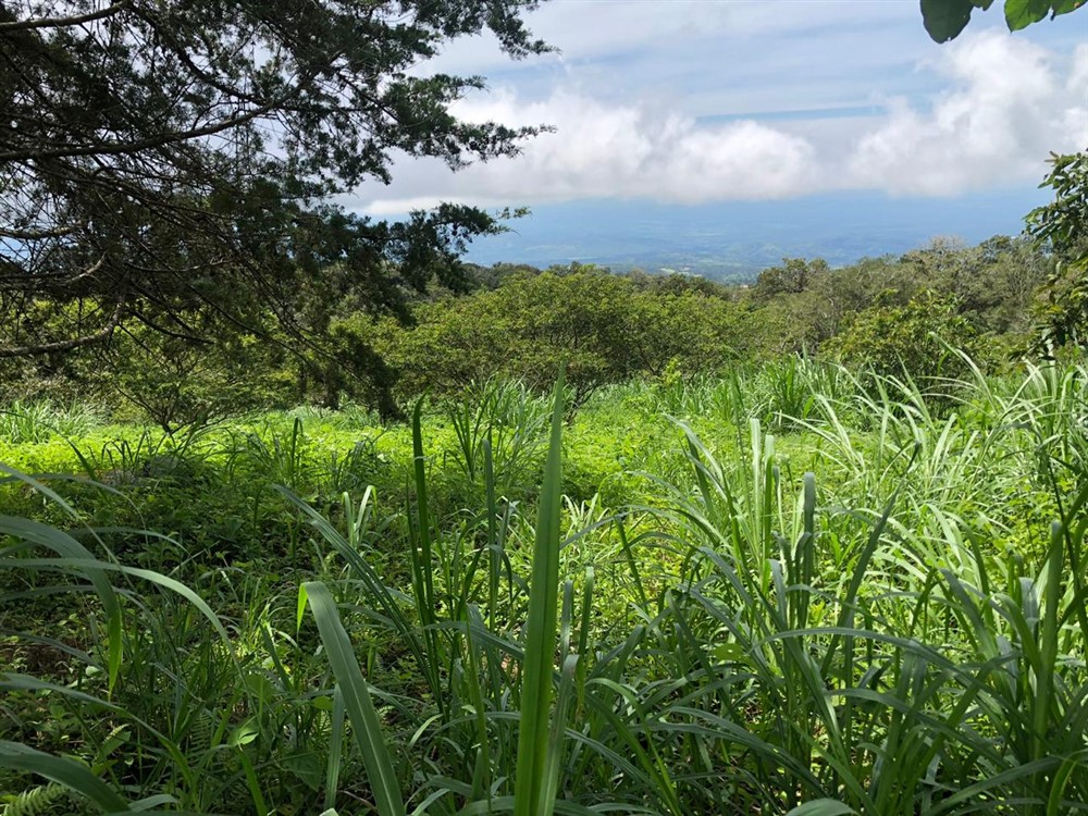 Beautiful Mountain View Property High in the Jaramillo Area of the Talamanca Mountain Range Less Than 15 Minutes from Downtown Boquete - Hermosa Propiedad con Vista a la montaña en lo Alto de la zona de Jaramillo de la Cordillera de Talamanca, a menos de 15 minutos del centro de Boquete photo 3
