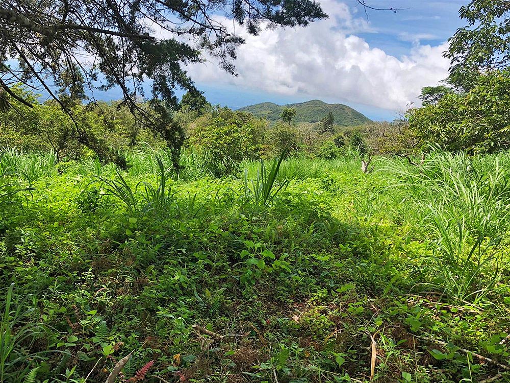 Beautiful Mountain View Property High in the Jaramillo Area of the Talamanca Mountain Range Less Than 15 Minutes from Downtown Boquete - Hermosa Propiedad con Vista a la montaña en lo Alto de la zona de Jaramillo de la Cordillera de Talamanca, a menos de 15 minutos del centro de Boquete photo 5