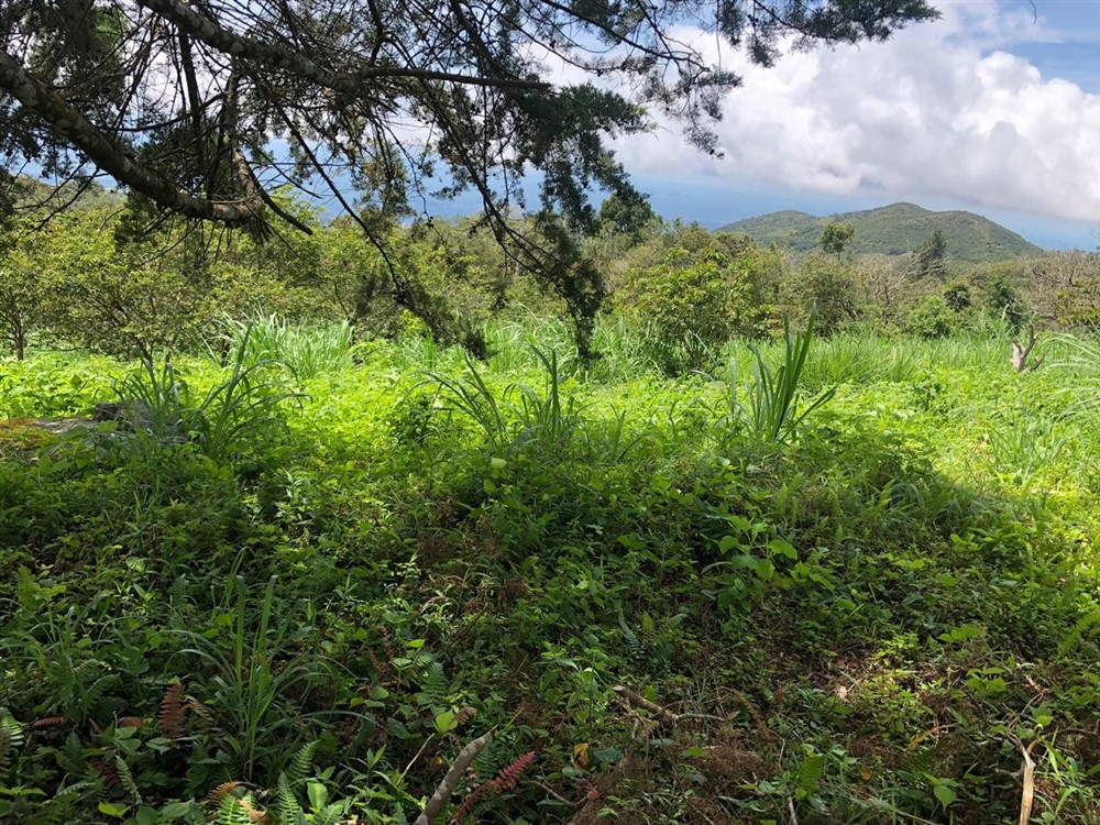 Beautiful Mountain View Property High in the Jaramillo Area of the Talamanca Mountain Range Less Than 15 Minutes from Downtown Boquete - Hermosa Propiedad con Vista a la montaña en lo Alto de la zona de Jaramillo de la Cordillera de Talamanca, a menos de 15 minutos del centro de Boquete photo 6