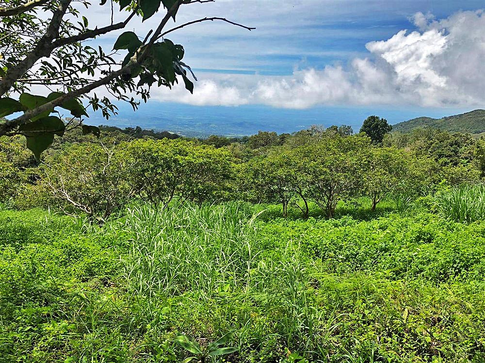 Beautiful Mountain View Property High in the Jaramillo Area of the Talamanca Mountain Range Less Than 15 Minutes from Downtown Boquete - Hermosa Propiedad con Vista a la montaña en lo Alto de la zona de Jaramillo de la Cordillera de Talamanca, a menos de 15 minutos del centro de Boquete photo 9