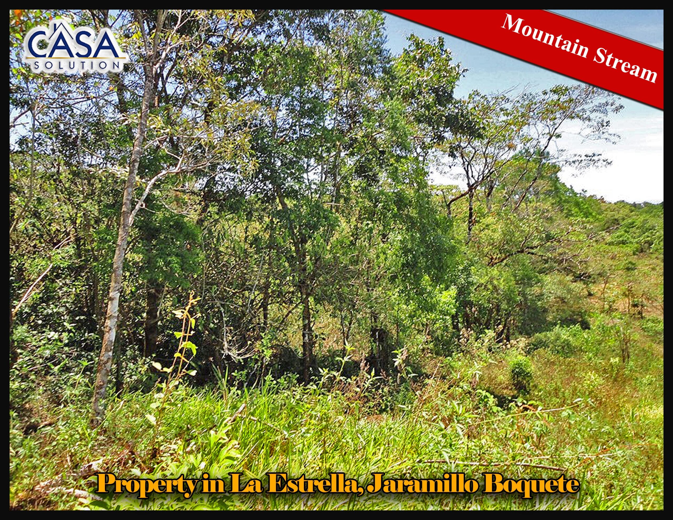 Beautiful Property with Mountain Stream for Sale in La Estrella, Jaramillo Boquete photo 5