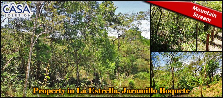 Beautiful Property with Mountain Stream for Sale in La Estrella, Jaramillo Boquete photo 6