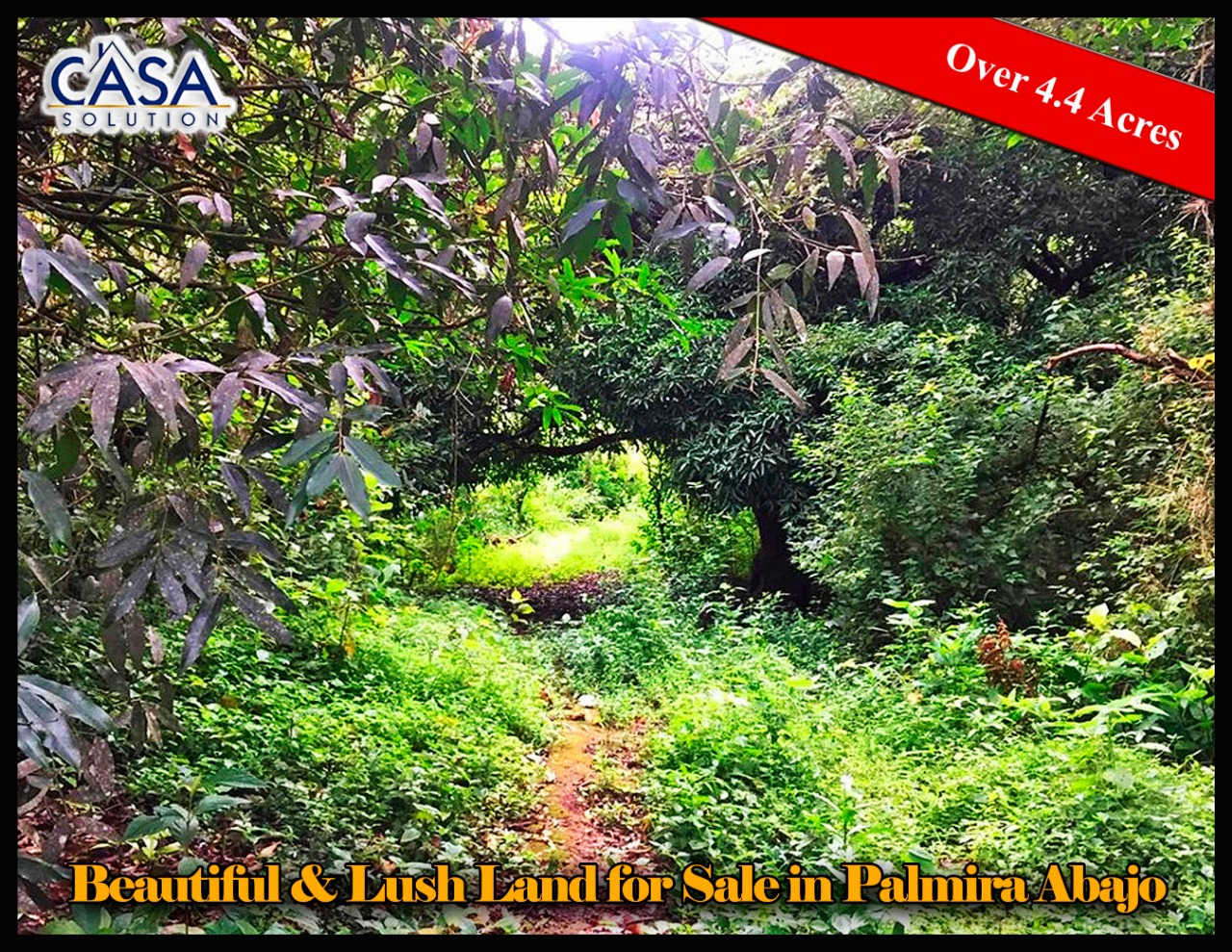 Beautiful & Lush Land for Sale in Palmira Abajo, Boquete, Panama - Over 4.4 Acres photo 8