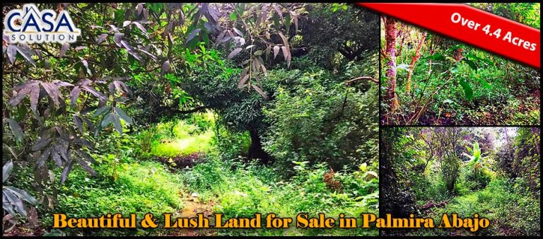 Beautiful & Lush Land for Sale in Palmira Abajo, Boquete, Panama - Over 4.4 Acres photo 9