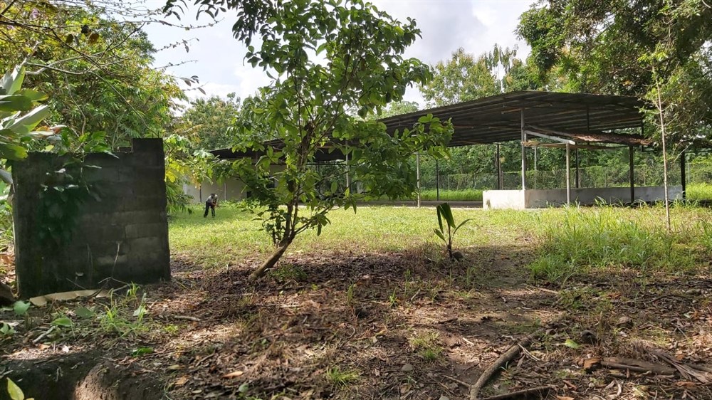 Withdrawn by Owner - Centrally Located Corner Lot with Infrastructure for sale in Progresso, Puerto Armuelles photo 2
