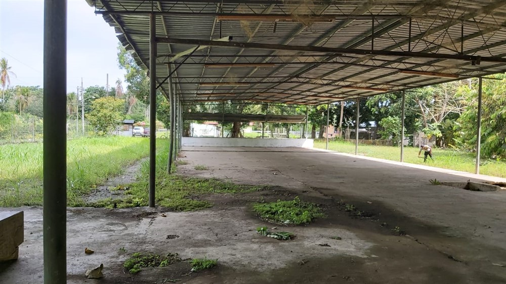 Withdrawn by Owner - Centrally Located Corner Lot with Infrastructure for sale in Progresso, Puerto Armuelles photo 3