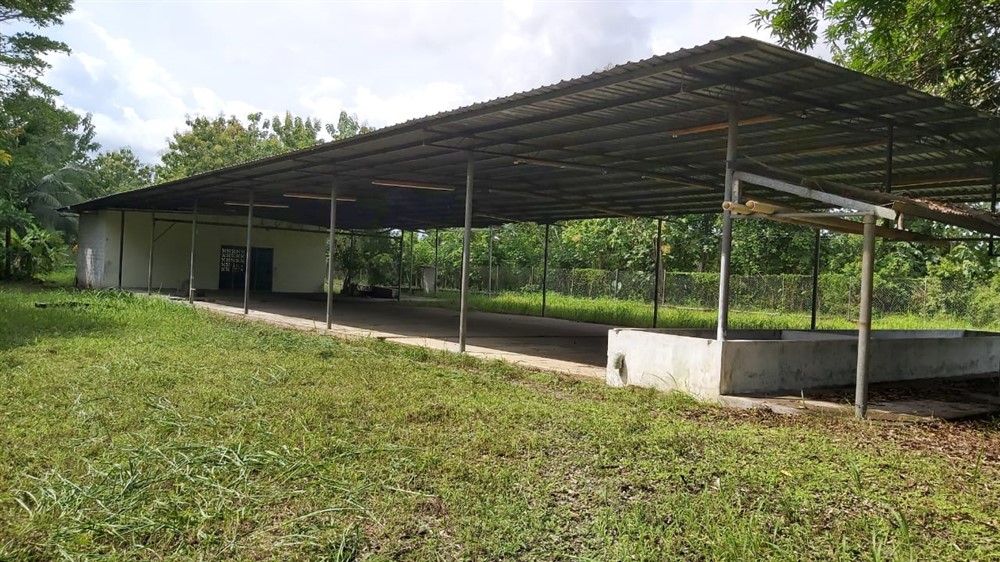 Withdrawn by Owner - Centrally Located Corner Lot with Infrastructure for sale in Progresso, Puerto Armuelles photo 6