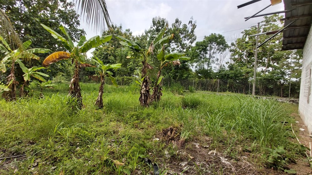Withdrawn by Owner - Centrally Located Corner Lot with Infrastructure for sale in Progresso, Puerto Armuelles photo 8