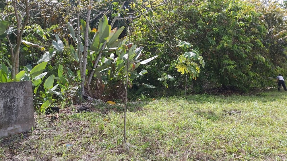 Withdrawn by Owner - Centrally Located Corner Lot with Infrastructure for sale in Progresso, Puerto Armuelles photo 10