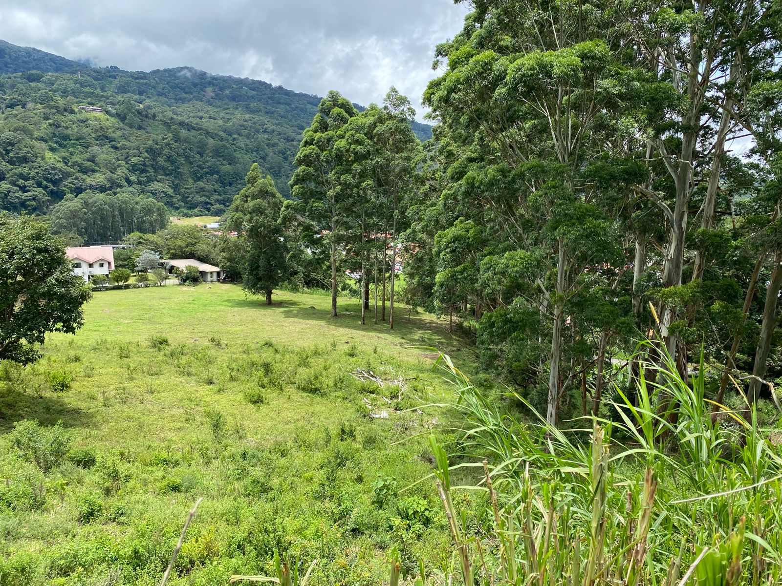 Sold by Owner! Downtown Boquete 4,300 Square Meters of Land  – Has Outstanding Views Too! - Centro de Boquete 4,300 Metros Cuadrados de Terreno - ¡También Tiene Vistas Excepcionales! photo 2