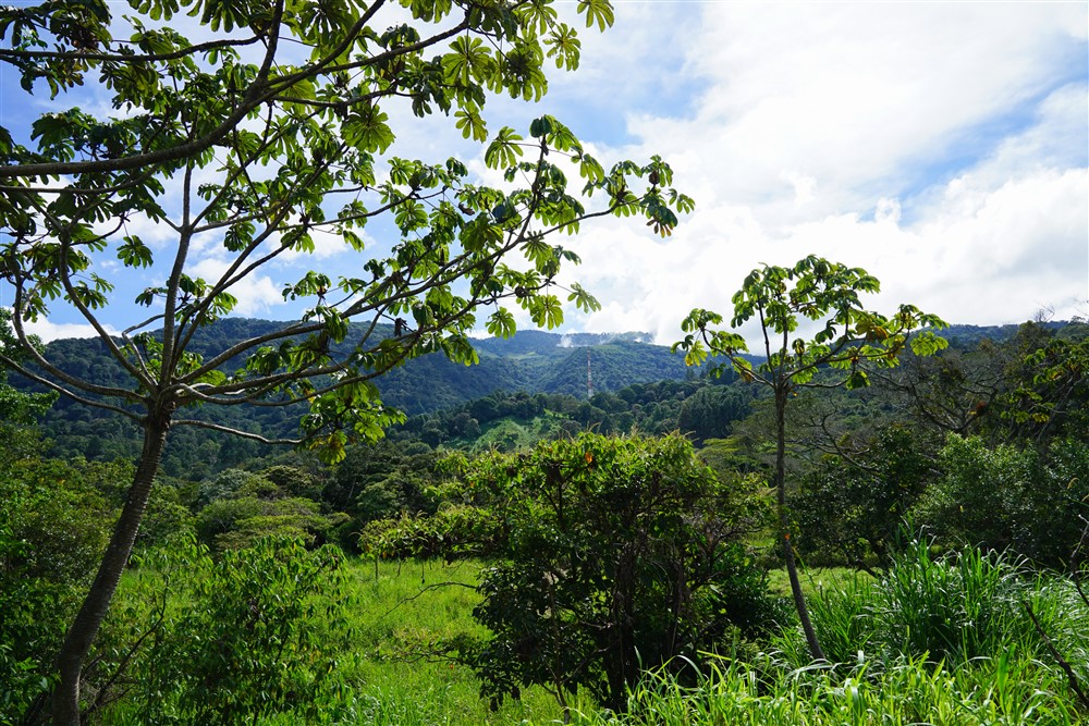 Downtown Lots for Sale in Boquete, Panama Near Panamonte Estates - Lots Sold Fast - Just One Left photo 11