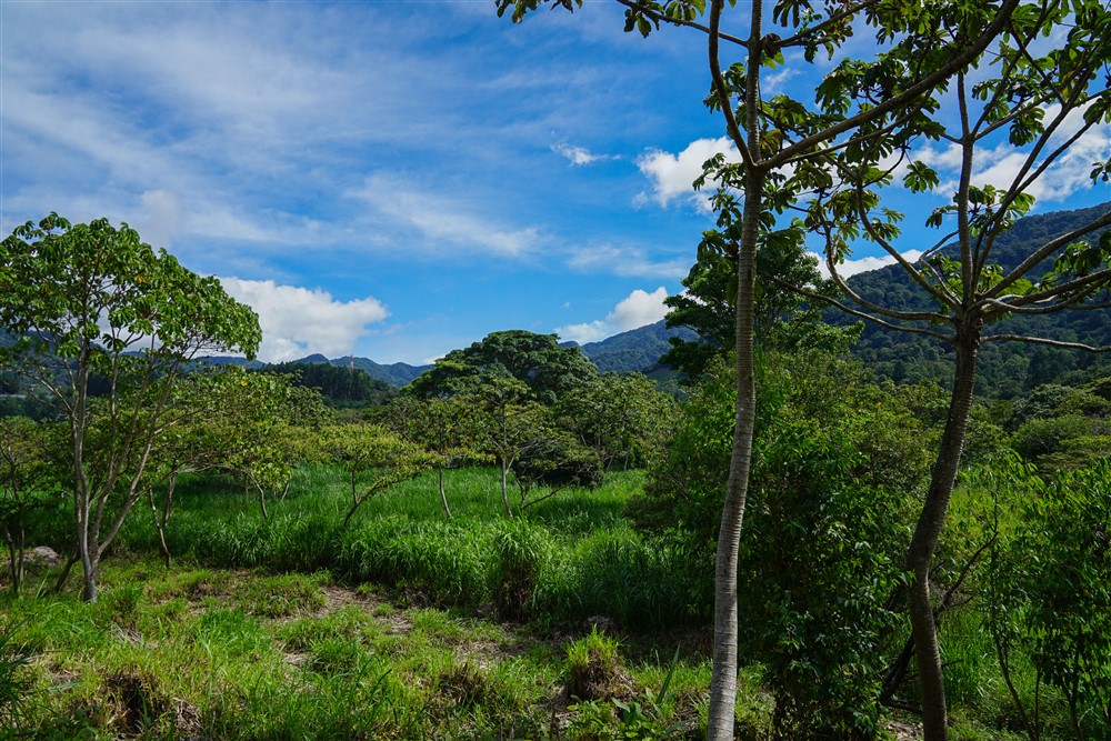 Downtown Lots for Sale in Boquete, Panama Near Panamonte Estates - Lots Sold Fast - Just One Left photo 3