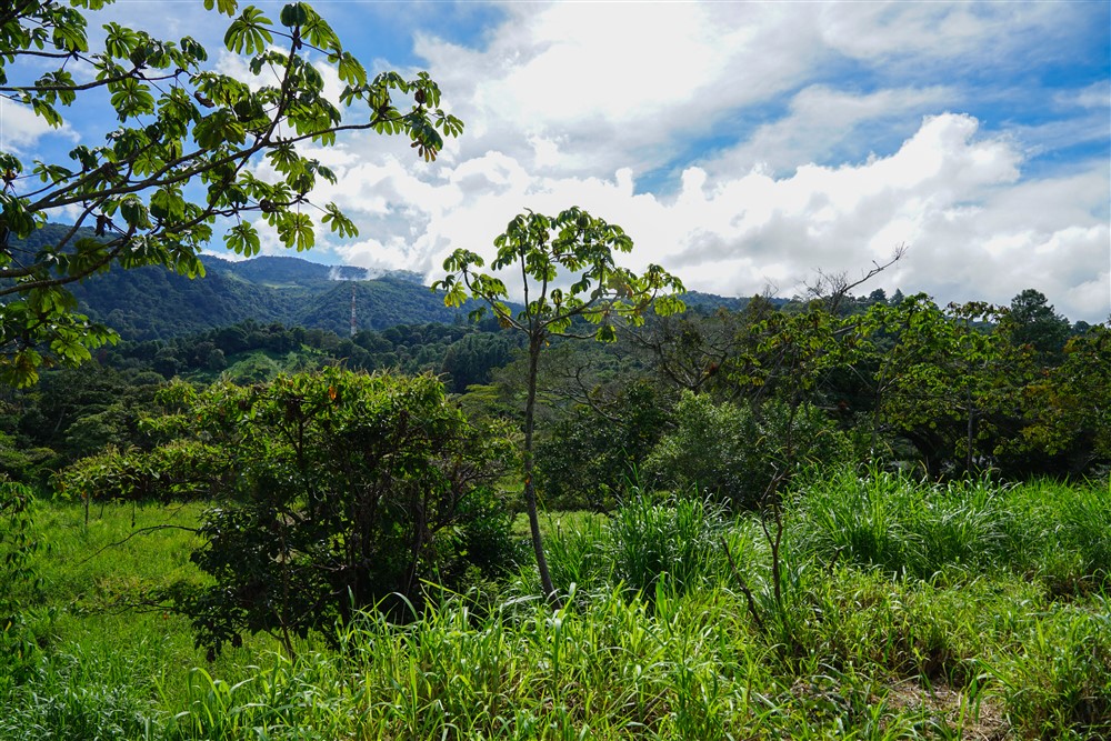 Downtown Lots for Sale in Boquete, Panama Near Panamonte Estates - Lots Sold Fast - Just One Left photo 4