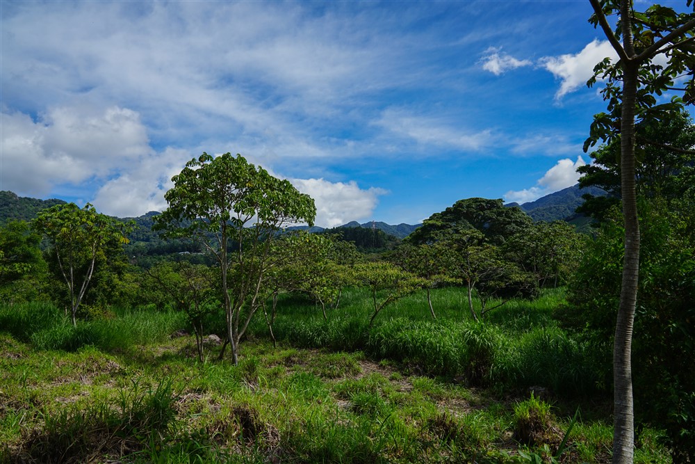 Downtown Lots for Sale in Boquete, Panama Near Panamonte Estates - Lots Sold Fast - Just One Left photo 5