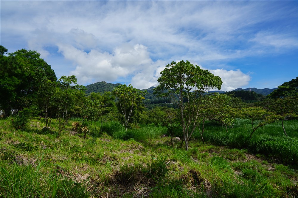 Downtown Lots for Sale in Boquete, Panama Near Panamonte Estates - Lots Sold Fast - Just One Left photo 6