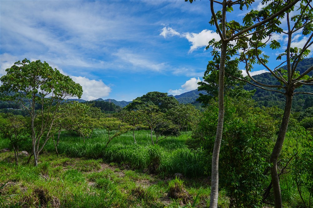 Downtown Lots for Sale in Boquete, Panama Near Panamonte Estates - Lots Sold Fast - Just One Left photo 7