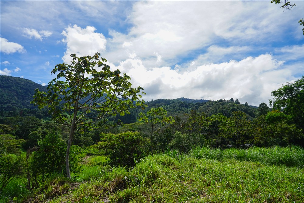 Downtown Lots for Sale in Boquete, Panama Near Panamonte Estates - Lots Sold Fast - Just One Left photo 8