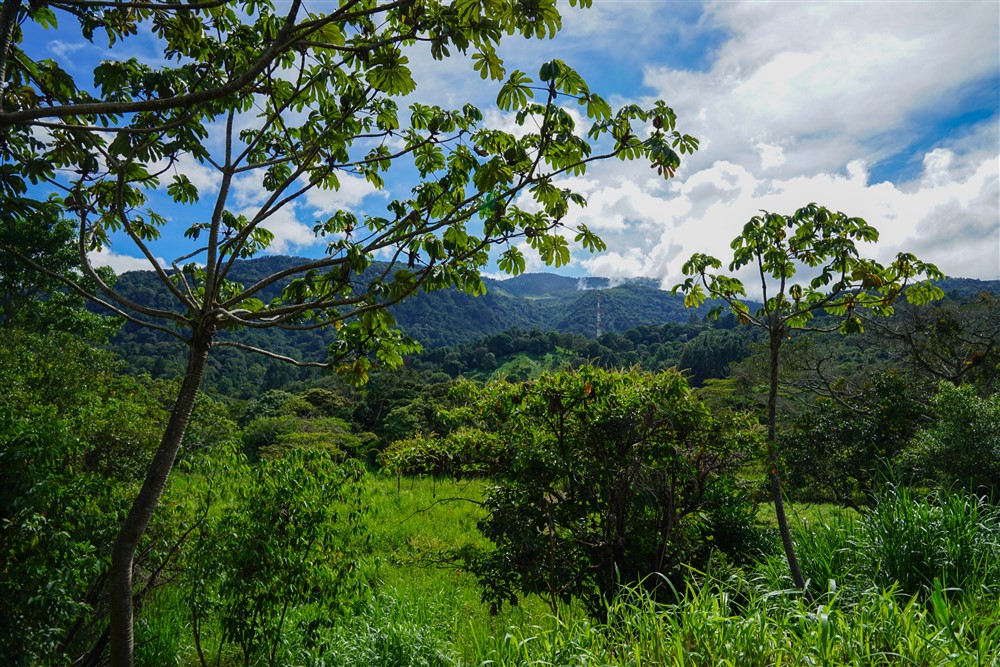 Downtown Lots for Sale in Boquete, Panama Near Panamonte Estates - Lots Sold Fast - Just One Left photo 9