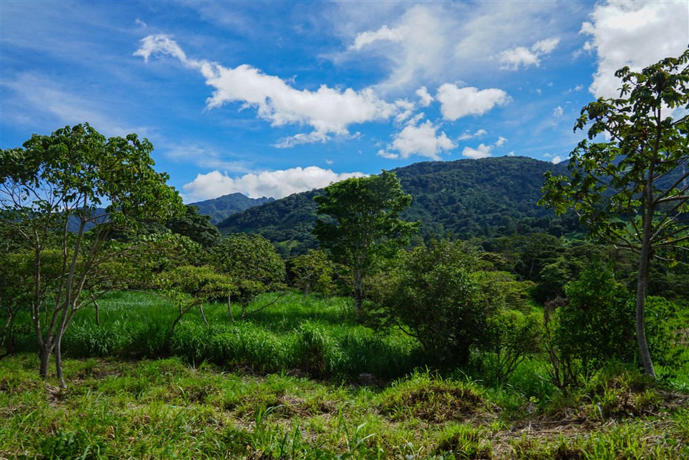 Downtown Lots for Sale in Boquete, Panama Near Panamonte Estates - Lots Sold Fast - Just One Left