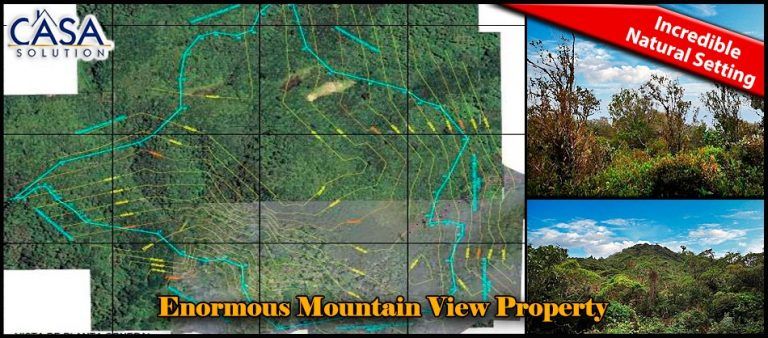 Enormous Mountain View Property with Lots of Beautiful Trees in Jaramillo, Boquete photo 6