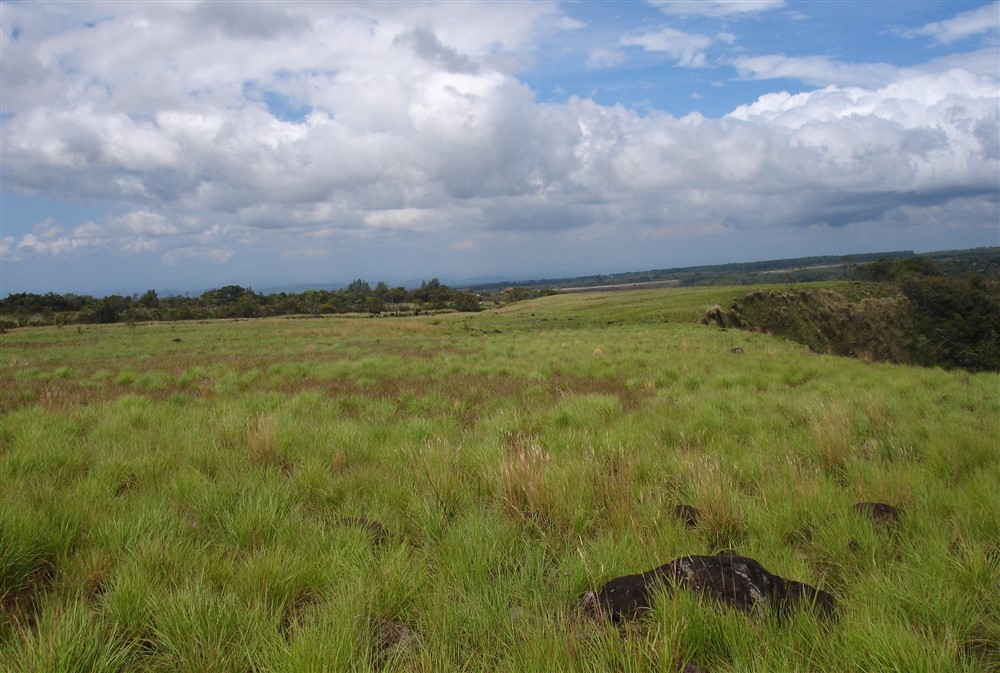 Excellent Development Land for Sale On Main Road Between Boquete & David, Panama
