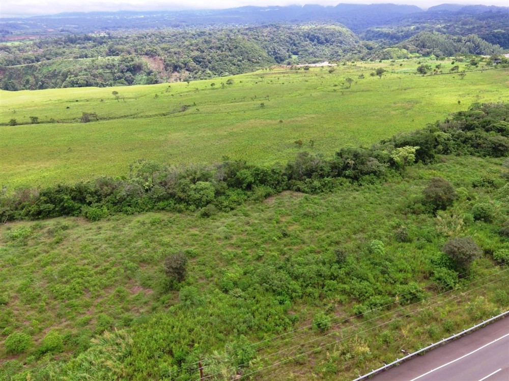 Excellent Development Land for Sale On Main Road Between Boquete & David, Panama photo 10