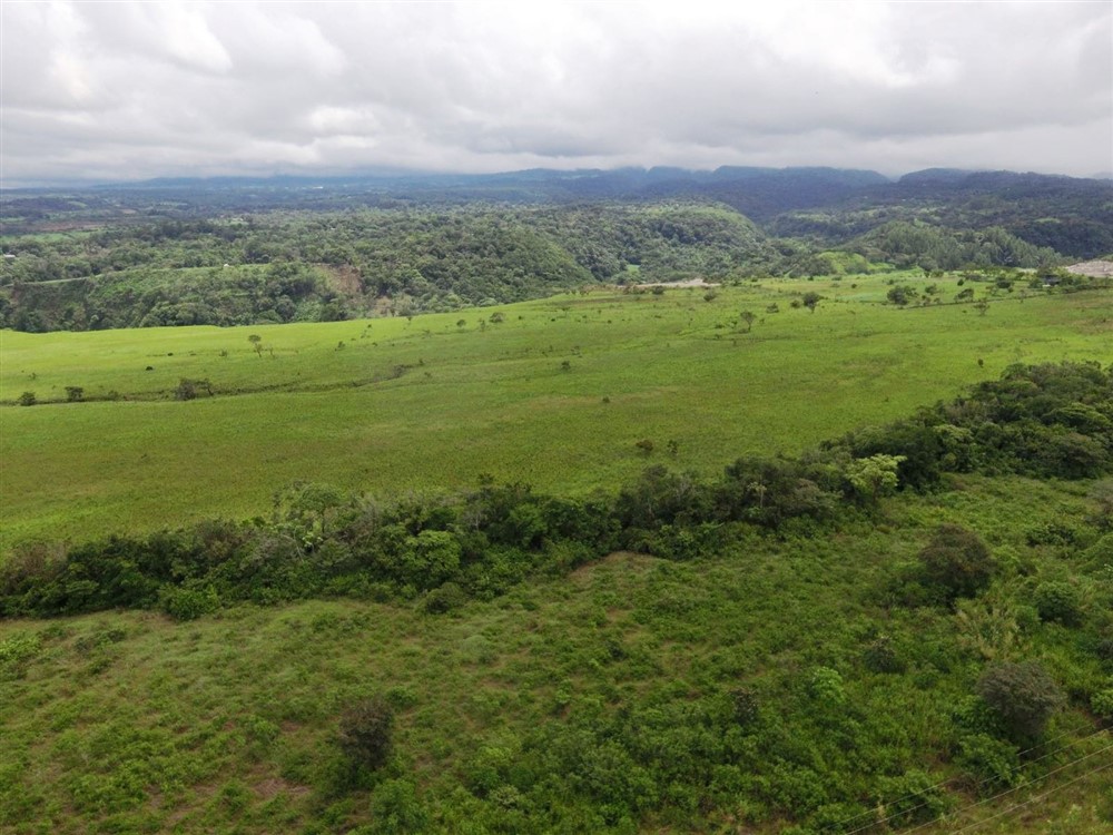 Excellent Development Land for Sale On Main Road Between Boquete & David, Panama photo 11