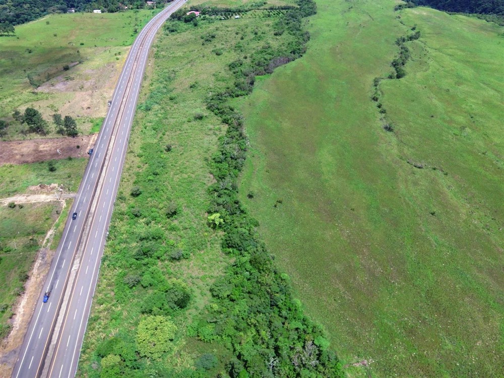 Excellent Development Land for Sale On Main Road Between Boquete & David, Panama photo 8
