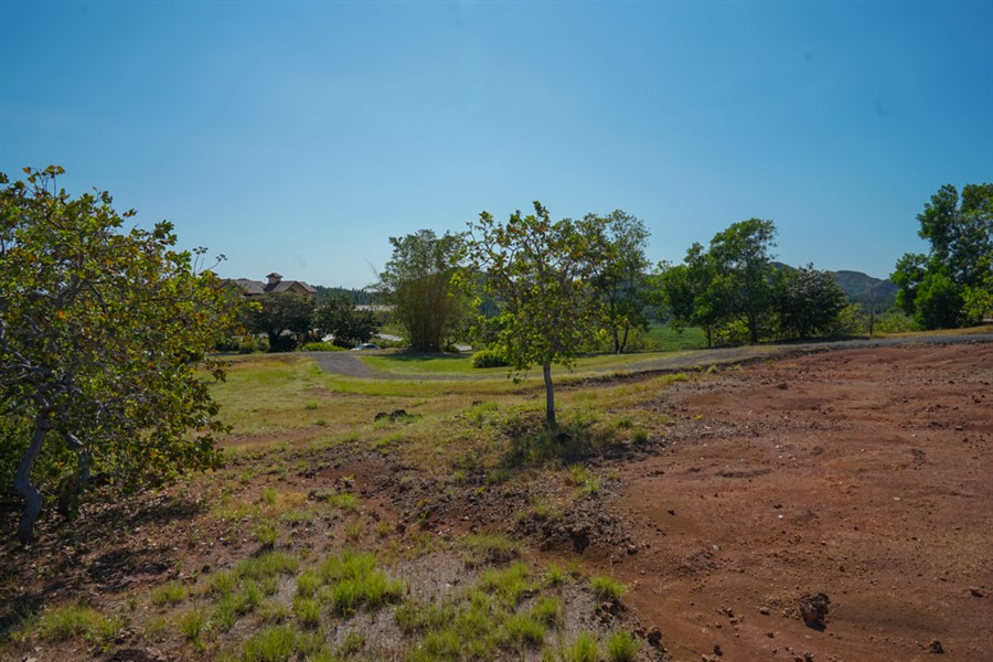 Withdrawn - Extraordinary Ocean View Estate Property of Nearly 24 Acres Consisting of Three Lots for Sale in Rincon Beach Estates, Boca Chica, Panama - Extraordinaria Propiedad con Vista al Mar en Rincón Beach Estates, Boca Chica, Panamá photo 12